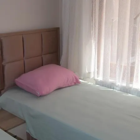 Lidya بيت شباب